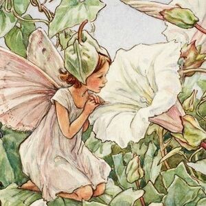 Meet your Posher, Molly